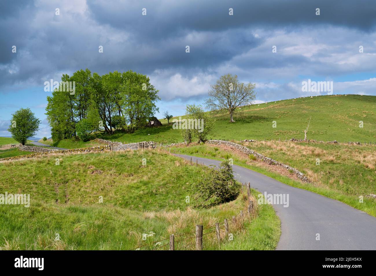Schottische Landschaft im Sommer. Dumfries und Galloway, Schottland Stockfoto