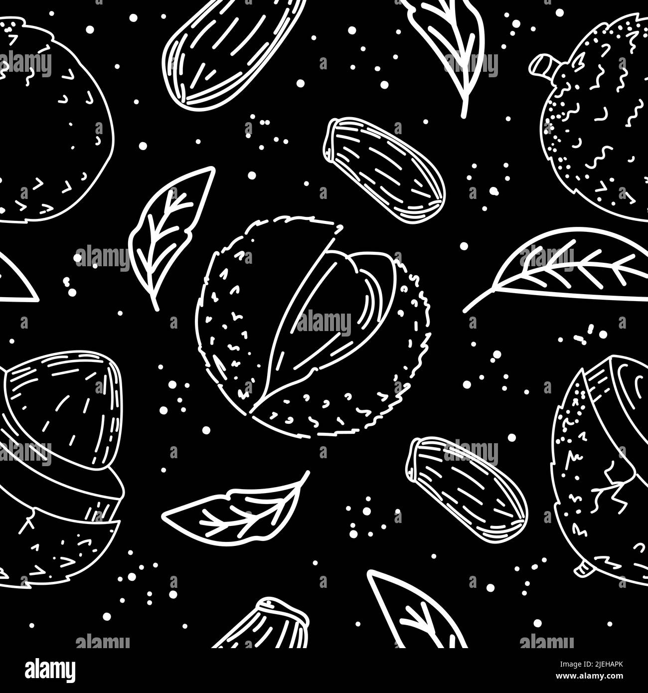 Nahtlose Zeichnung der exotischen Litschi-Früchte, Blätter und Samen, handgezeichnet im Skizzenstil. Silhouetten. Litschi. Obst und Blätter. Obst. Vektor einfach Stock Vektor