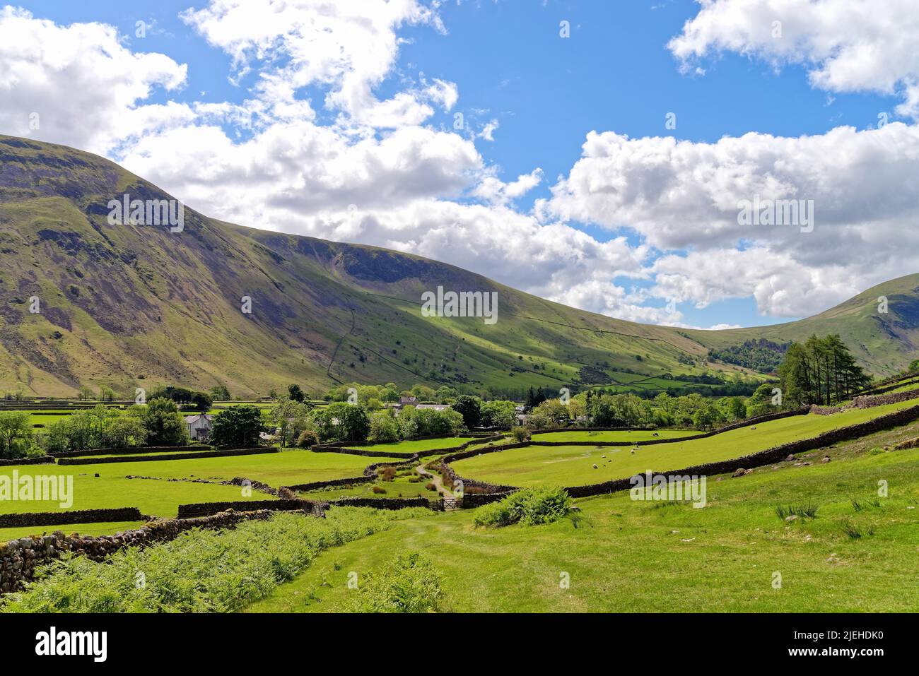 Der erhöhte Blick auf Wasdale Head an einem sonnigen Sommertag, Lake District Cumbria England Stockfoto