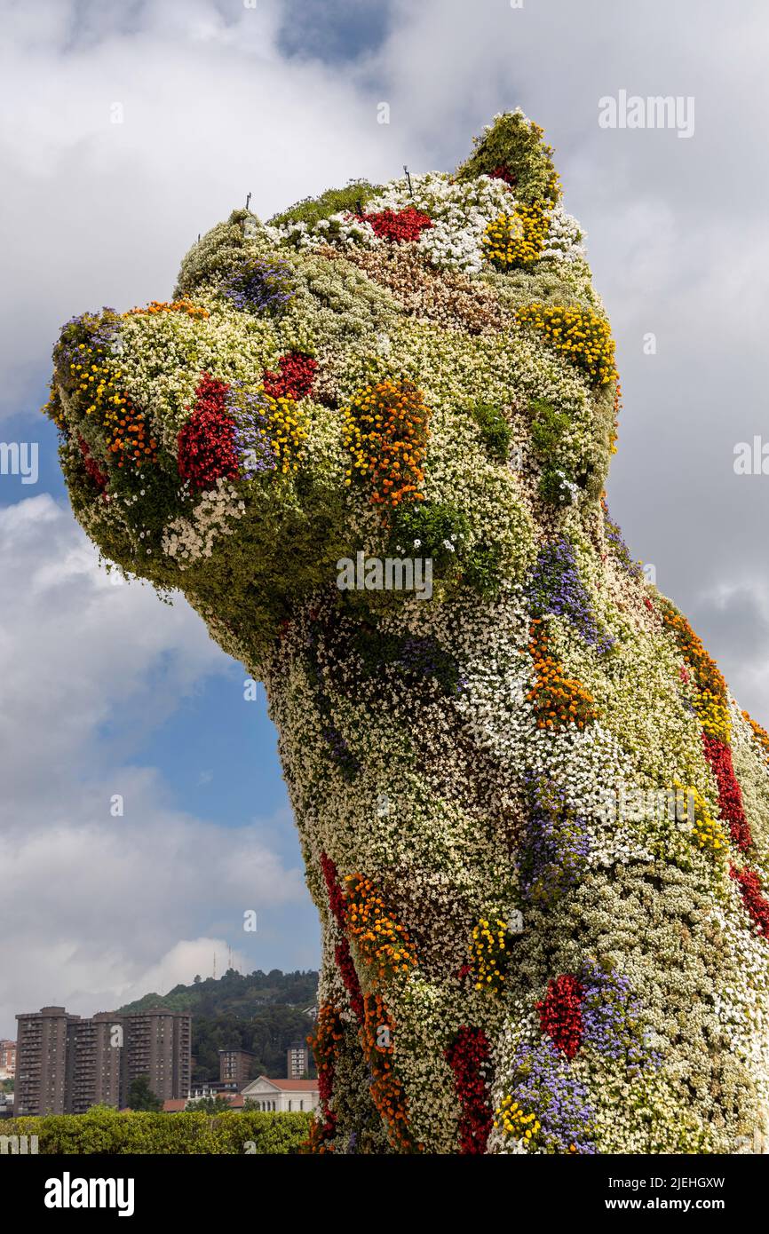 Jeff Koons Blumenwelpe vor dem Guggenheim Museum in Bilbao Stockfoto