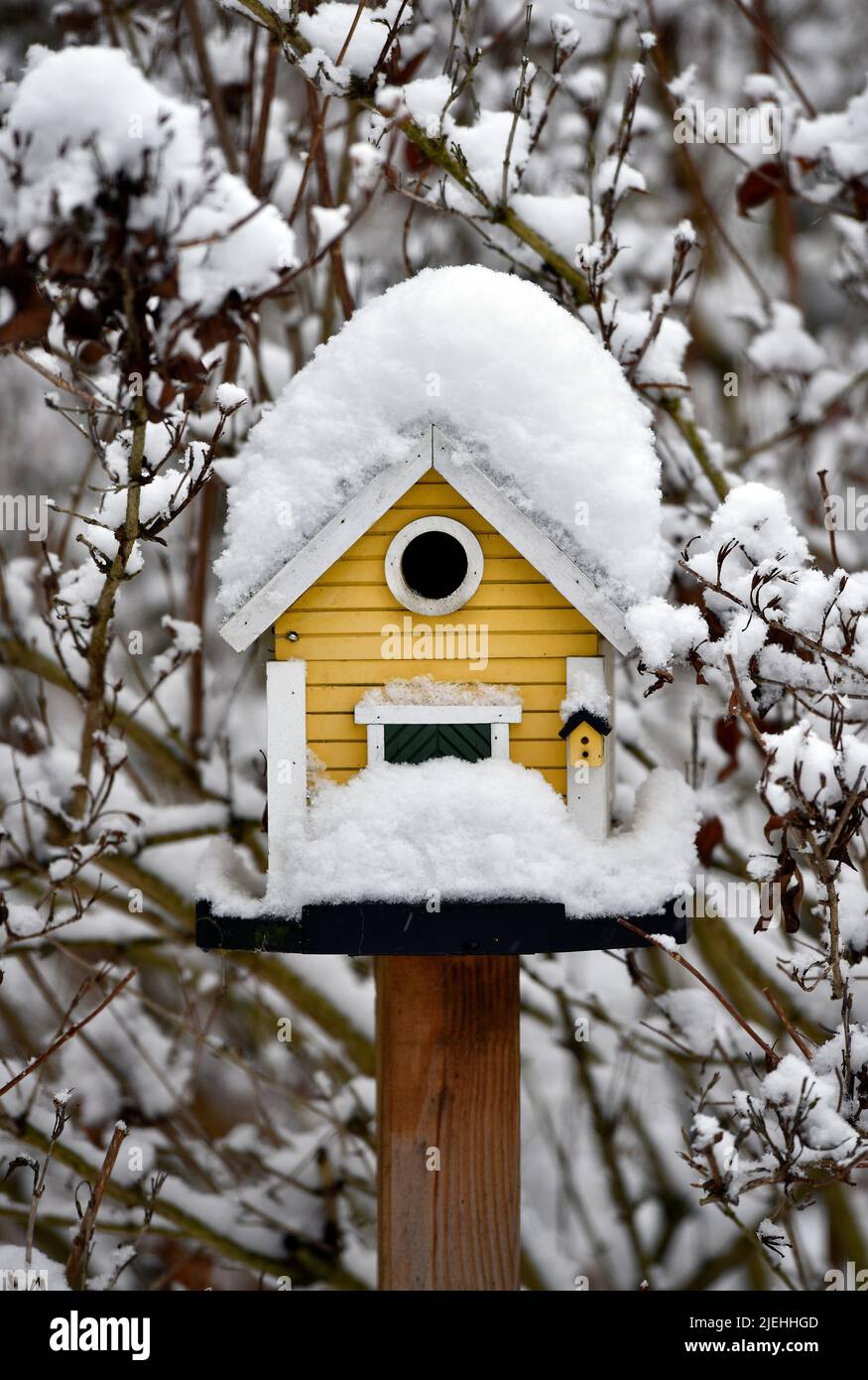 Schneebedecktes Vogelhäuschen im Winter Stockfoto