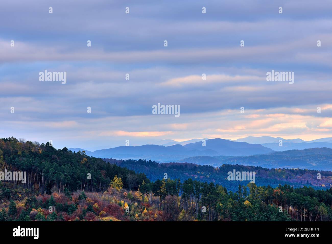 Herbstliche Berglandschaft mit Wald und buntem Himmel bei Sonnenuntergang. Pinkblaue Wolken. Natürlicher Hintergrund, Tapete. Vrsatec, Slowakei. Stockfoto