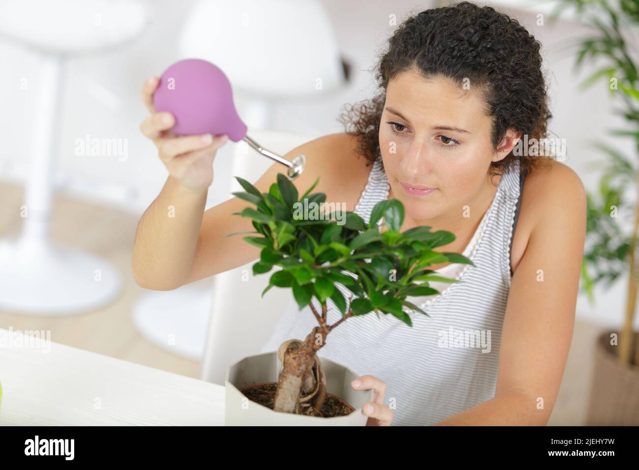 Eine Frau ist die Bewässerung ein Bonsai Stockfoto