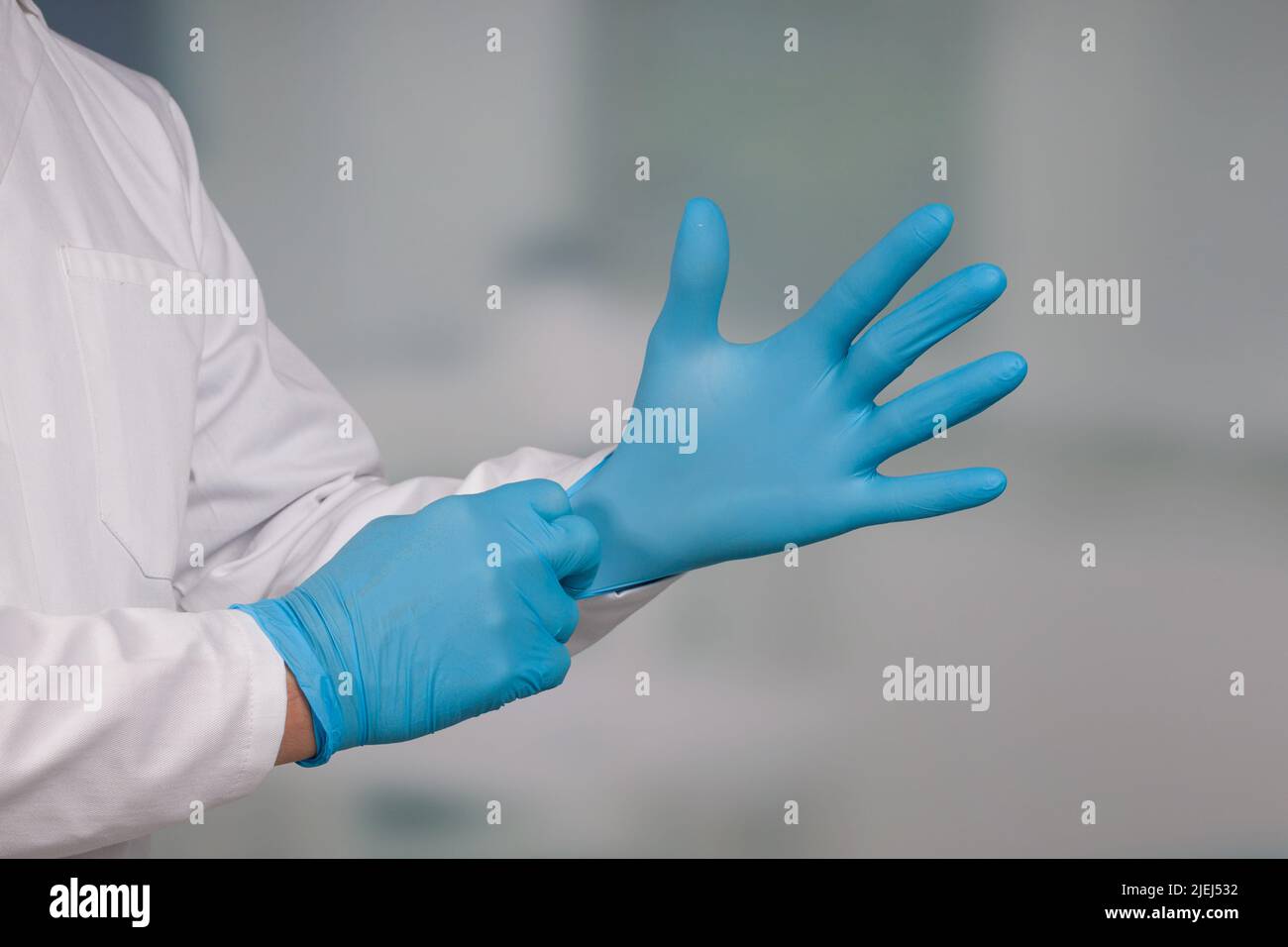 Nahaufnahme der Hände, die medizinische Handschuhe anziehen Stockfoto