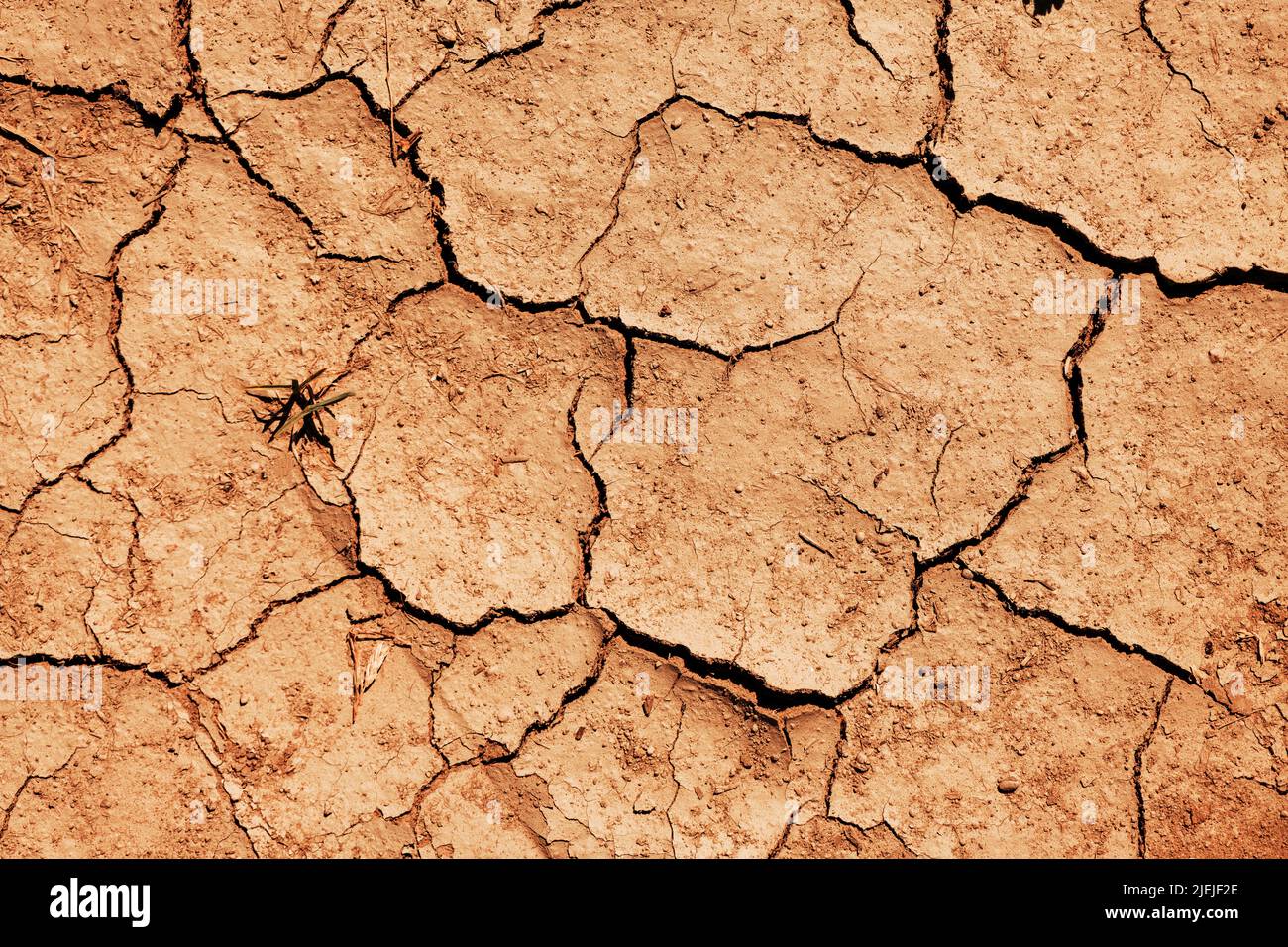 Trockener Boden als Hintergrund. Konzept des Klimawandels und der globalen Erwärmung. Draufsicht auf geknackte Böden während der Trockenperiode in trockener Klimalandschaft. Richtg Stockfoto