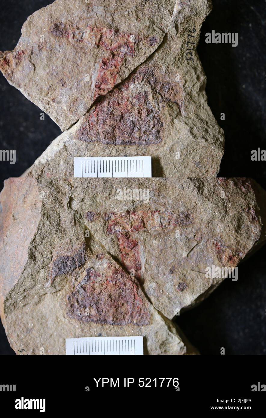 Problematica. Stockfoto