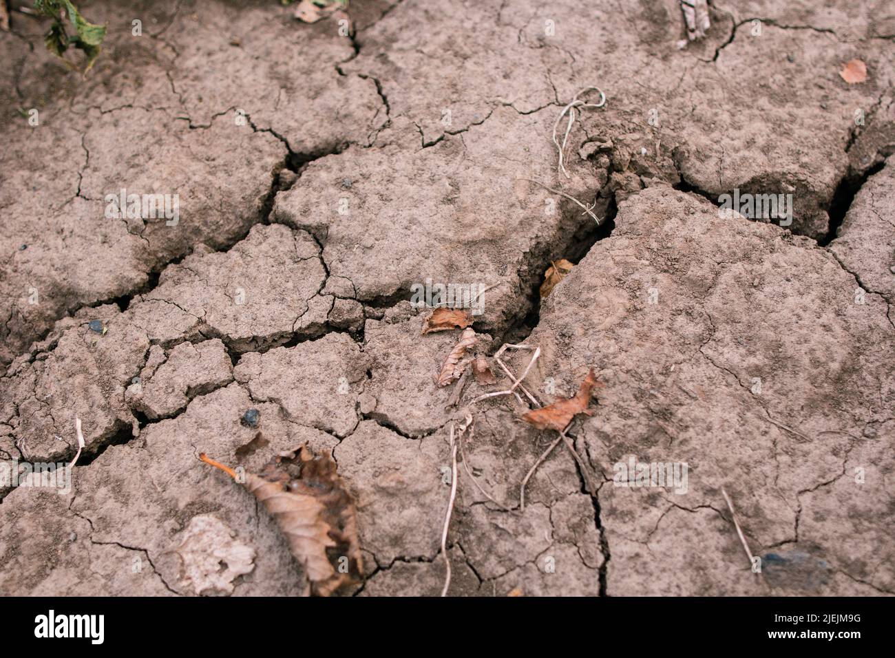 Tiefgang Umweltkatastrophe getrocknete gerissene Böden Stockfoto