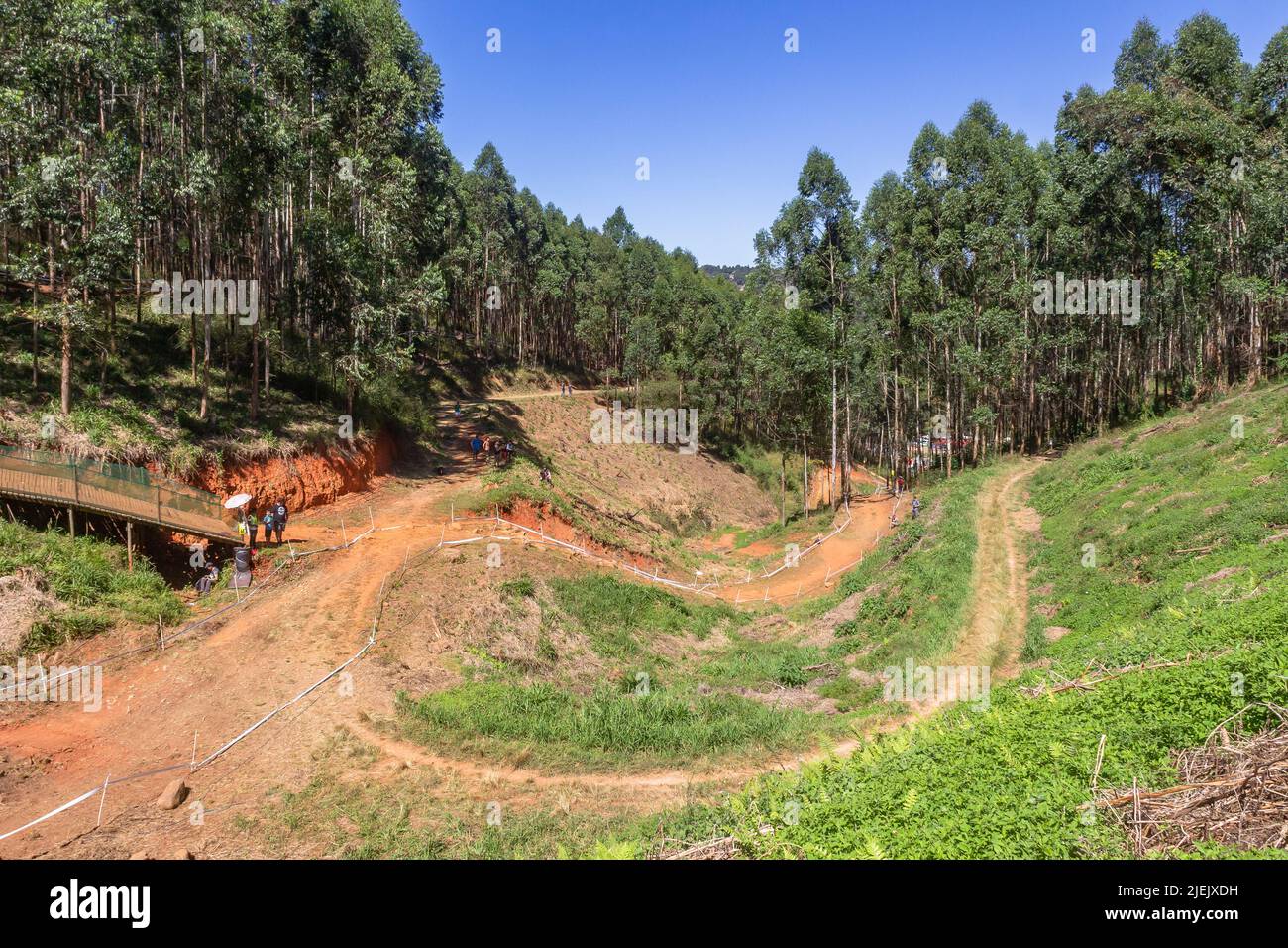 Mountainbike Dirt Track Course Gelände auf und ab Hügel durch Waldbäume eine zerklüftete malerische Radlandschaft. Stockfoto