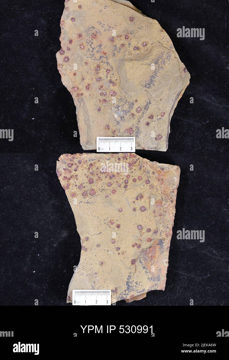 Problematica. Stockfoto