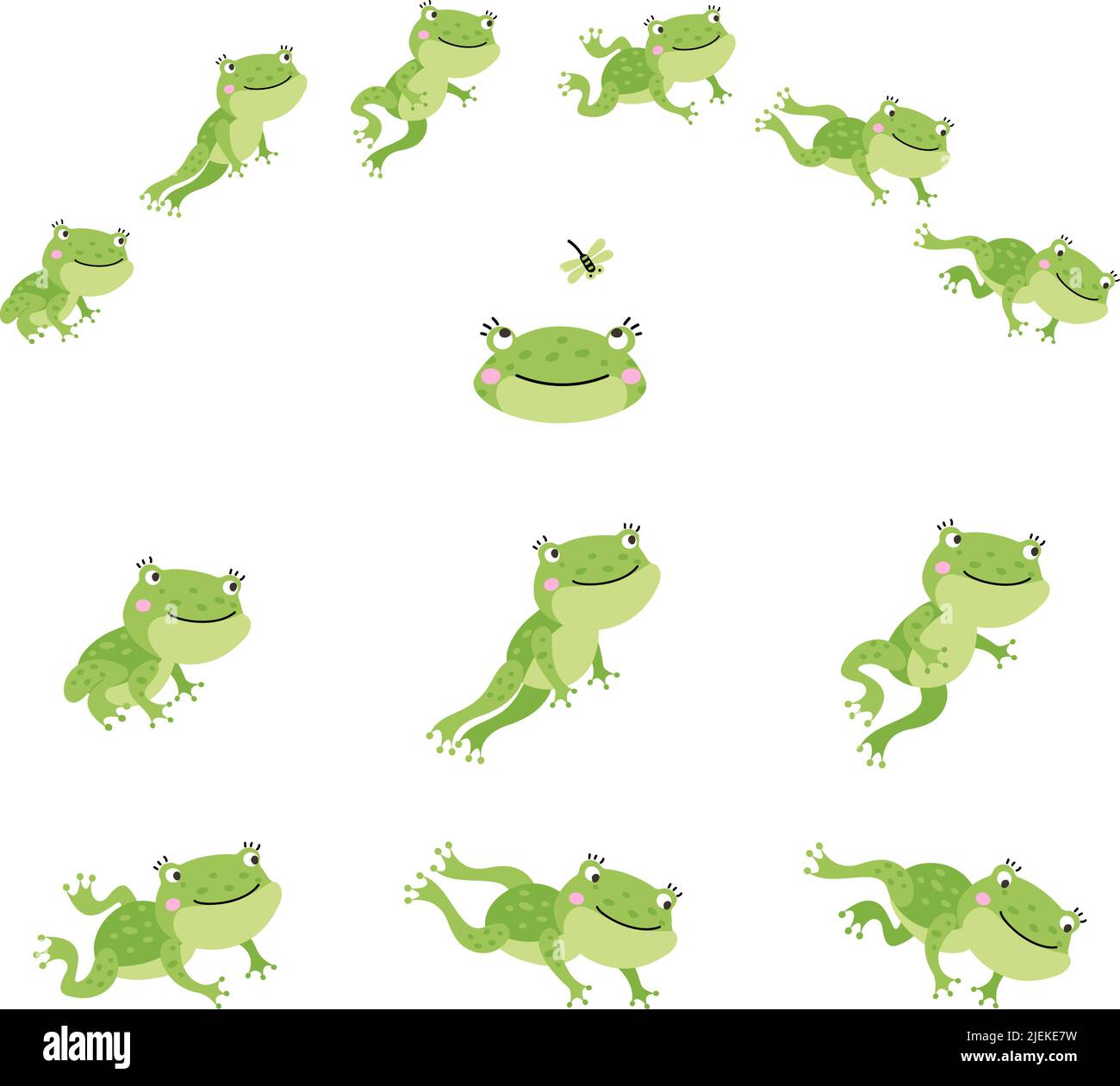 Froschsprung. Isolierte springende grüne Frösche, Bewegungsprozess Animation. Bewegungszeichen der Sequenz. Niedliche Cartoon Kröte Sprung, nowaday Vektor-Szene Stock Vektor