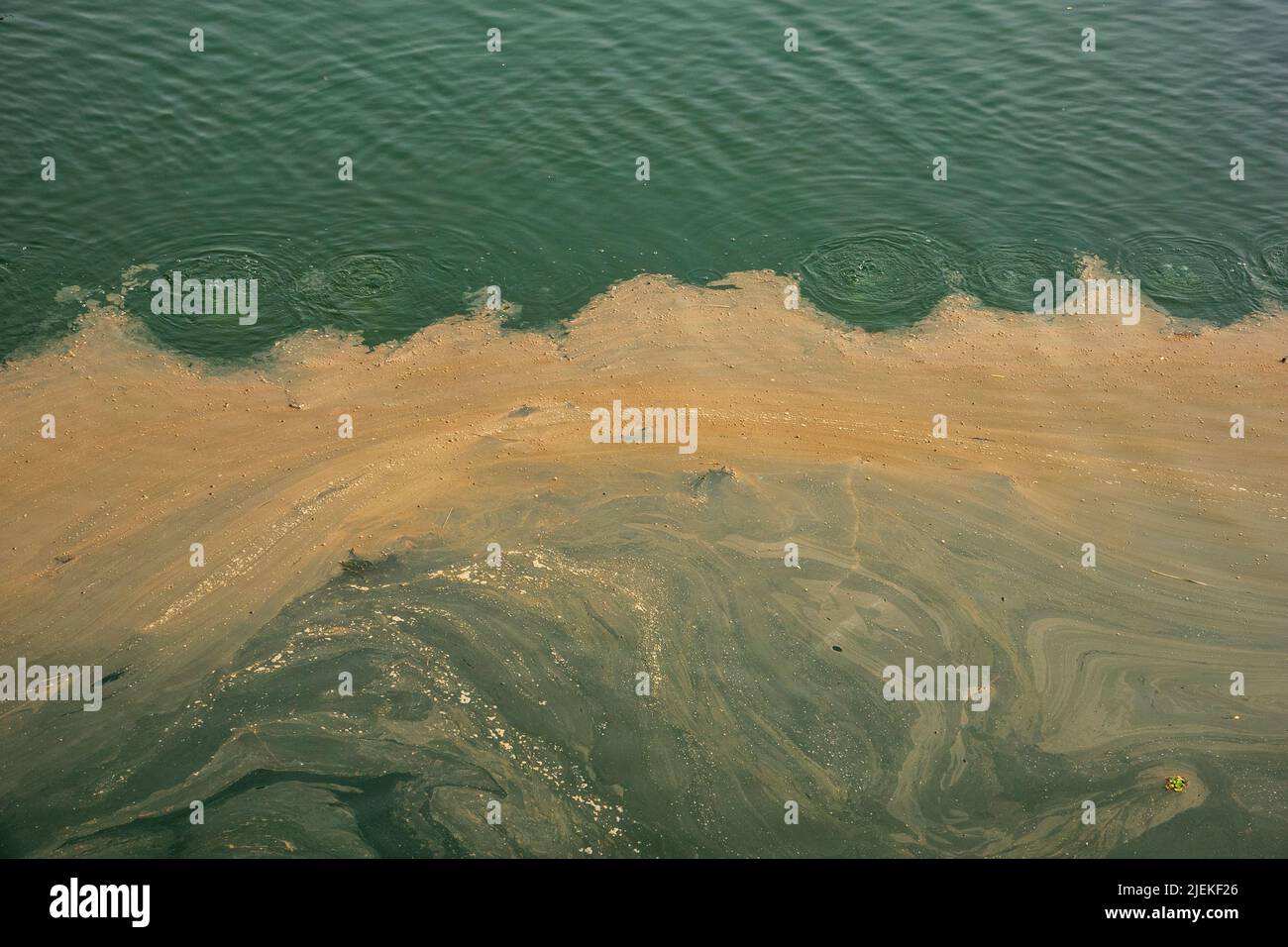 Schwimmende Verschmutzung auf dem Nil, Ägypten Stockfoto