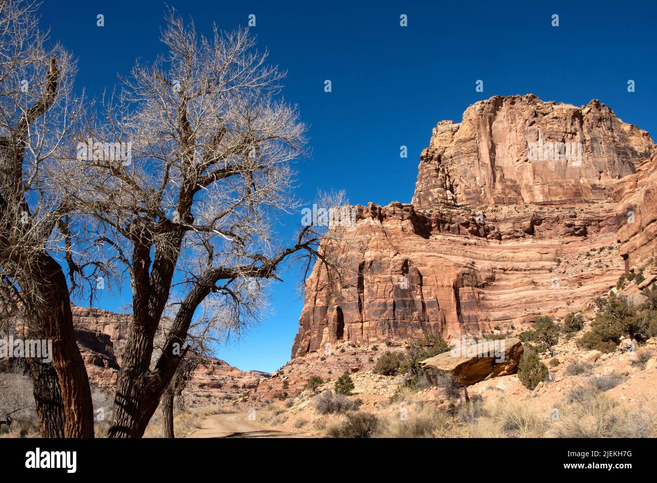 Erkunden Sie eine unbefestigte Straße mit roten Felsformationen in der Nähe von Moab Utah. Stockfoto