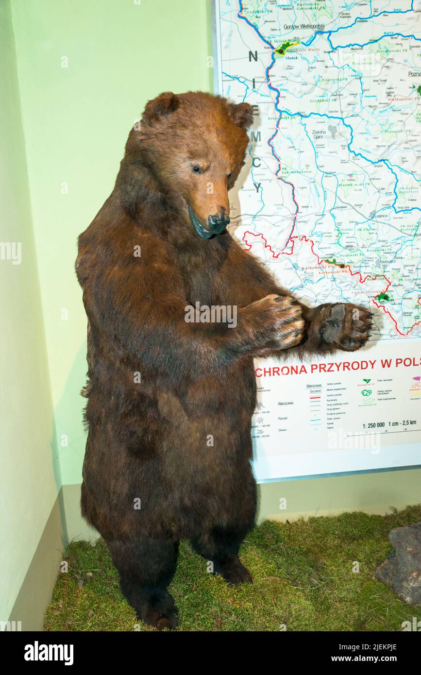 Kreuzritterburg (14. Jahrhundert), Kwidzyn, Pommersche Woiwodschaft, Polen Stockfoto