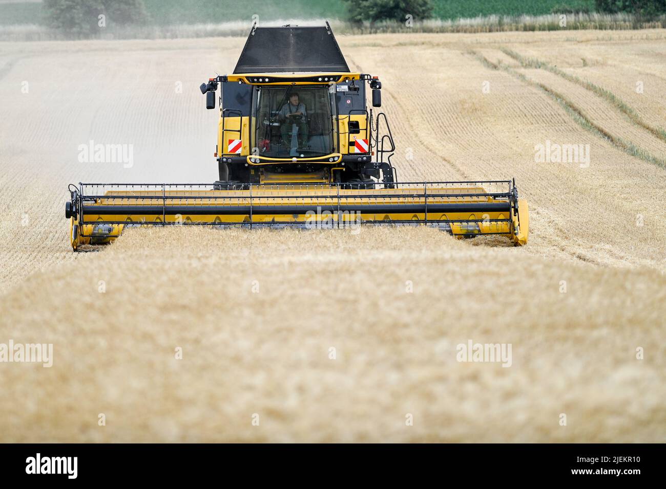 Ausleben, Deutschland. 27.. Juni 2022. Ein Mähdrescher droschen die erste Gerste der Saison auf einem Maisfeld in der Börde-Region. In der Region hat die Getreideernte etwas früher als üblich begonnen. Quelle: Klaus-Dietmar Gabbert/dpa/ZB/dpa/Alamy Live News Stockfoto