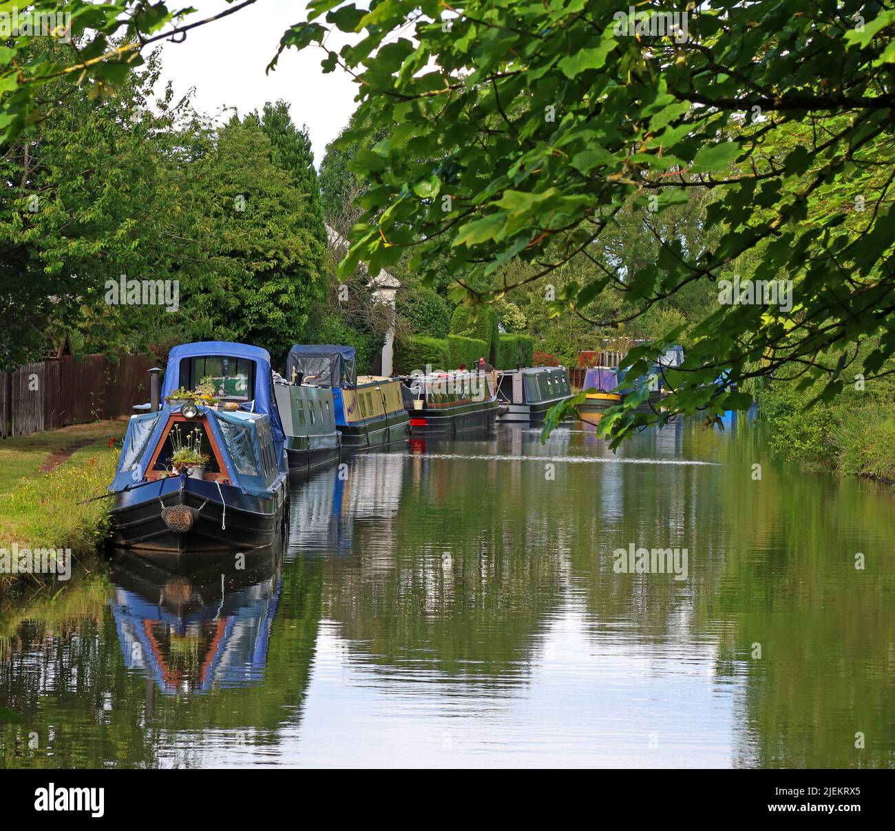 Bridgewater Canal at Grappenhall, South Warrington, Cheshire, England, Großbritannien, WA4 2YG Stockfoto