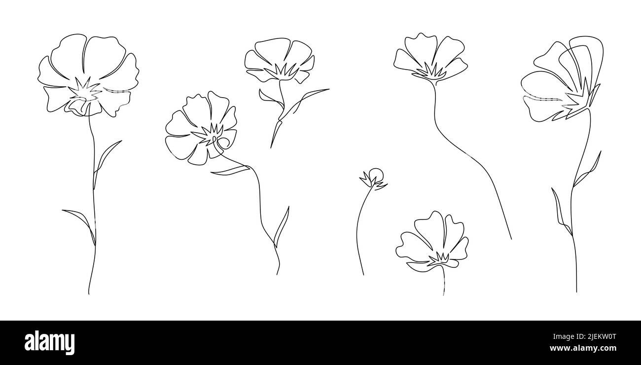Abstrakt eine kontinuierliche Linie Chrysantheme Blume Set. Blütenknospe und Blüte. Botanische moderne ästhetische Linienkunst für Wohnkultur, Wandkunstplakate. H Stock Vektor