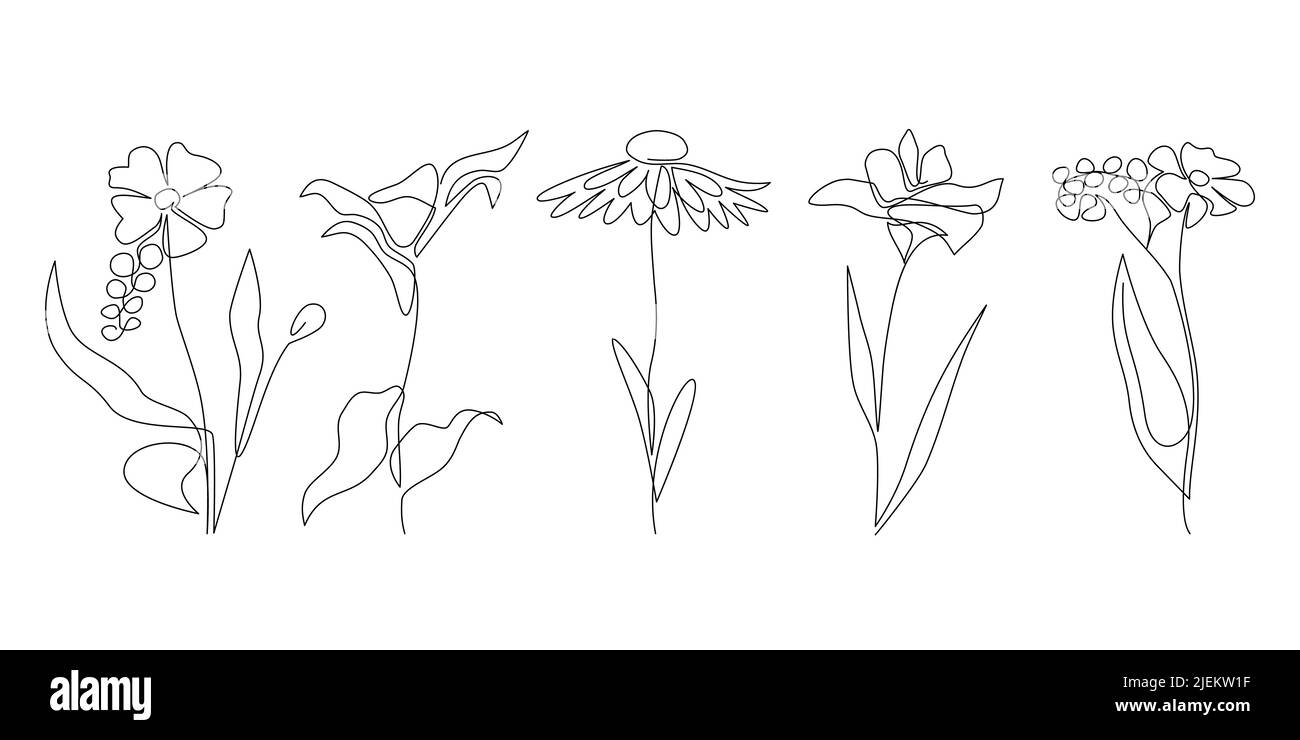 Abstrakt eine ununterbrochene Linie wilden Blumen gesetzt. Kamillenlilie blüht und blüht. Botanical moderne ästhetische Linie Kunst für Wohnkultur, Wandkunst POS Stock Vektor