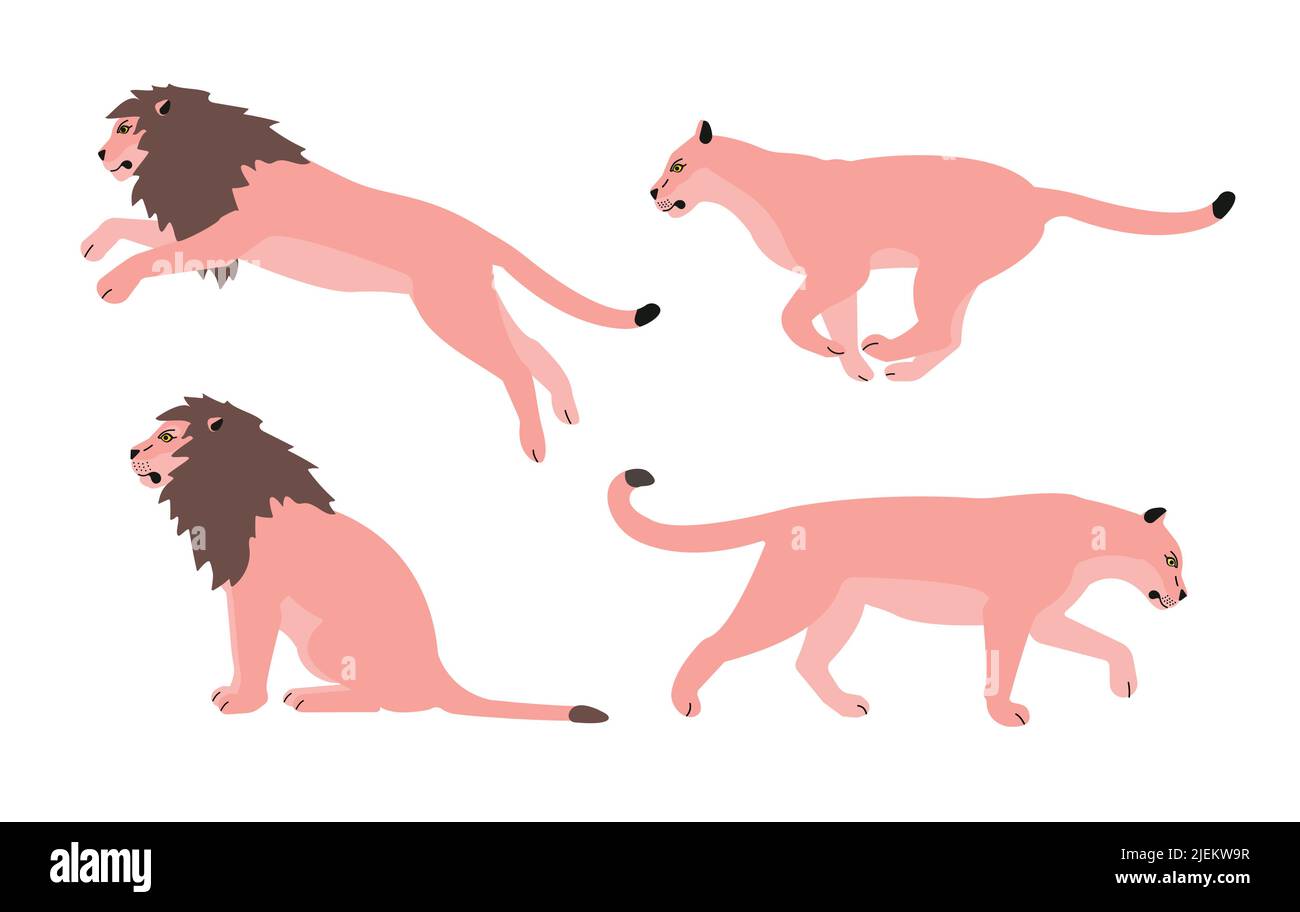 Vektor-Set von flachen rosa Löwen isoliert auf weißem Hintergrund Stock Vektor