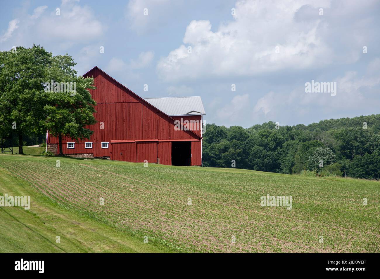 Scheunen und Felder bedecken die Landschaft in Butler County, Pennsylvania. Stockfoto