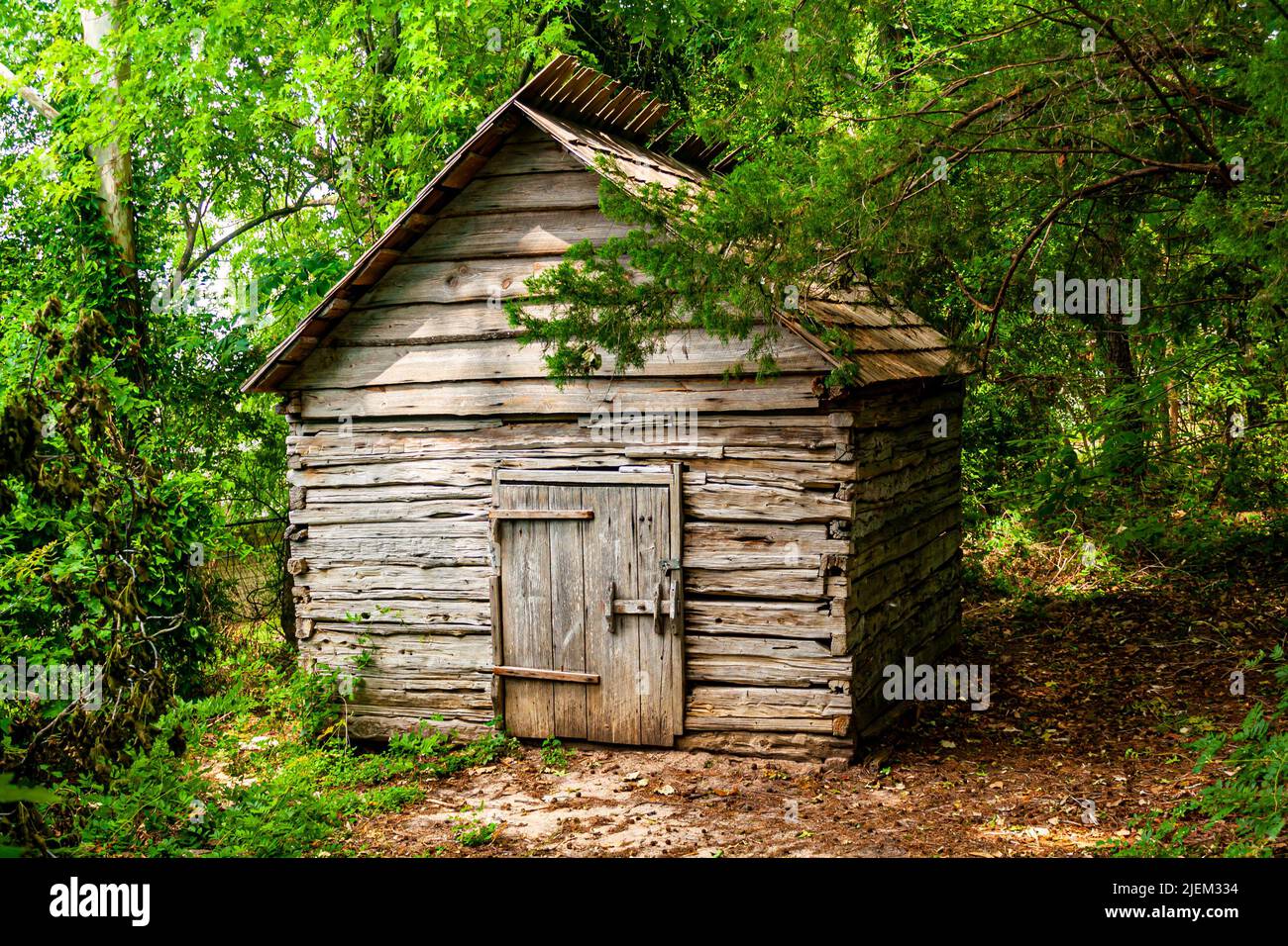 Ein verlassener Schuppen im Wald Stockfoto