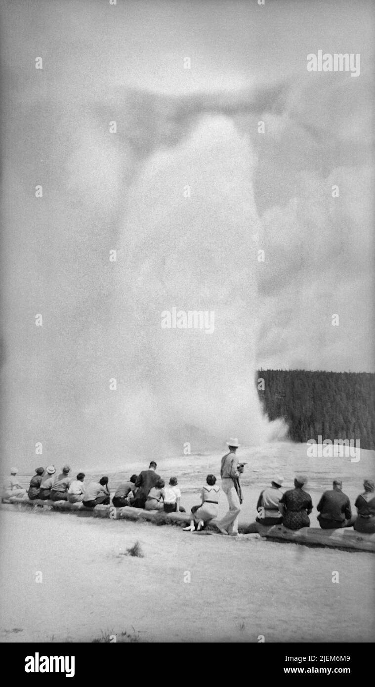 USA Wyoming Yellowstone National Park Old Faithful Geysir spät 1930s Touristen beobachten es wehen - vintage historisches Foto Stockfoto