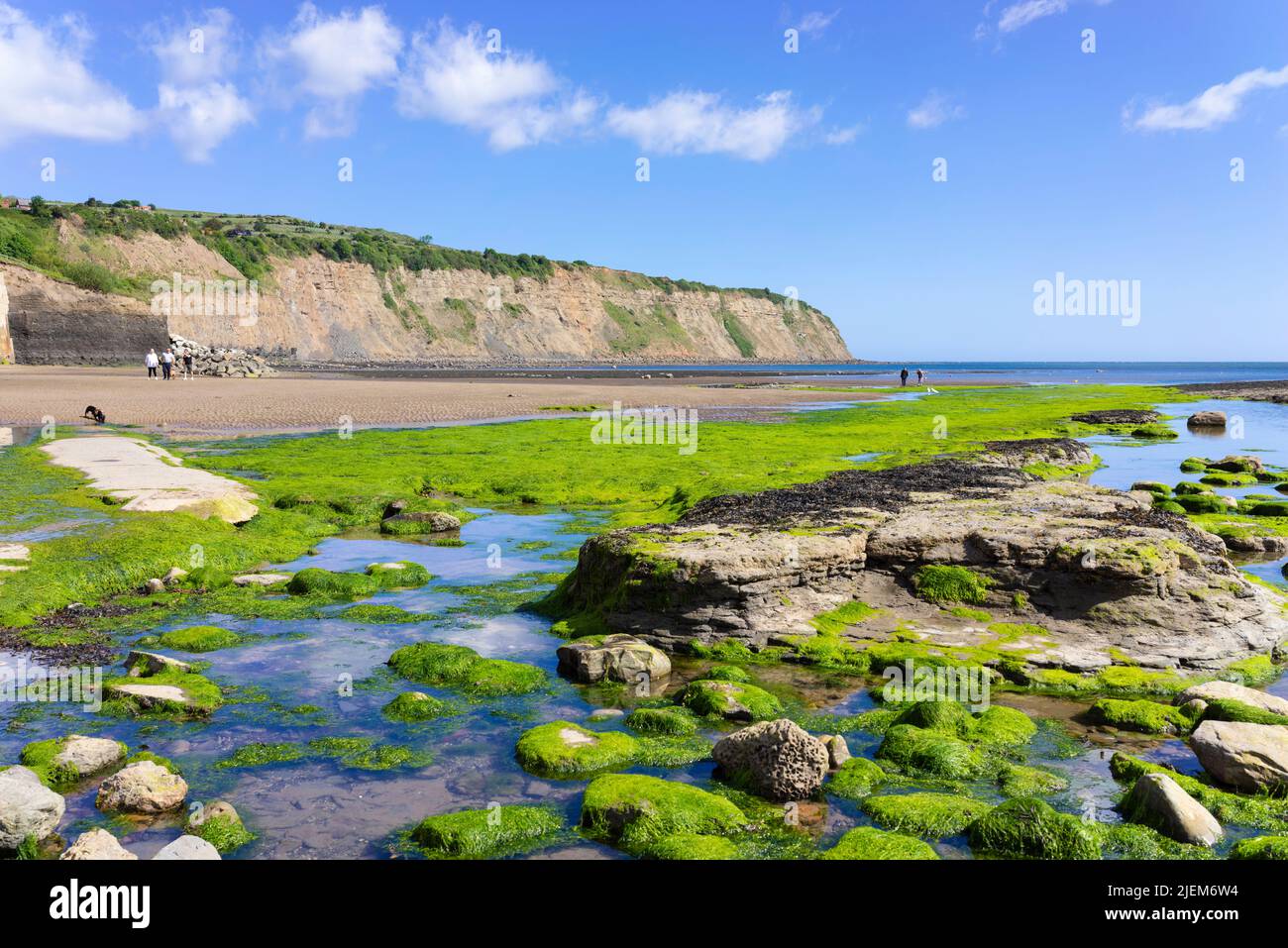 Robin Hood's Bay Yorkshire mit Strand und mit Algen bedeckten Felsen von der Slipanlage im Dorf Robin Hood's Bay Yorkshire England GB aus gesehen Stockfoto