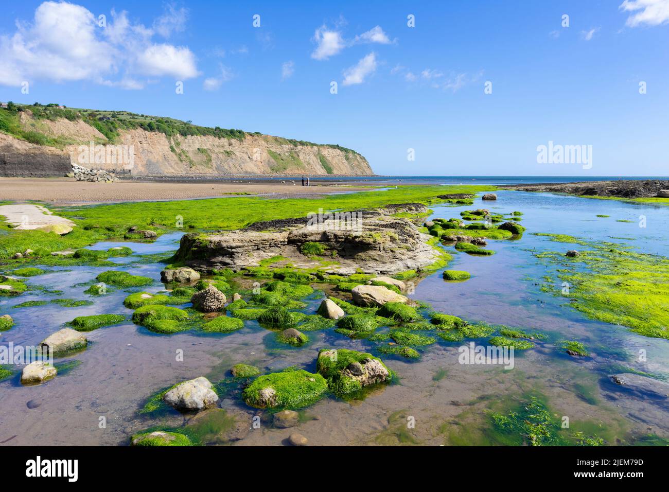Robin Hood's Bay Yorkshire mit Strand und mit Algen bedeckten Felsen von der Slipanlage im Dorf Robin Hood's Bay Yorkshire England GB aus gesehen Stockfoto