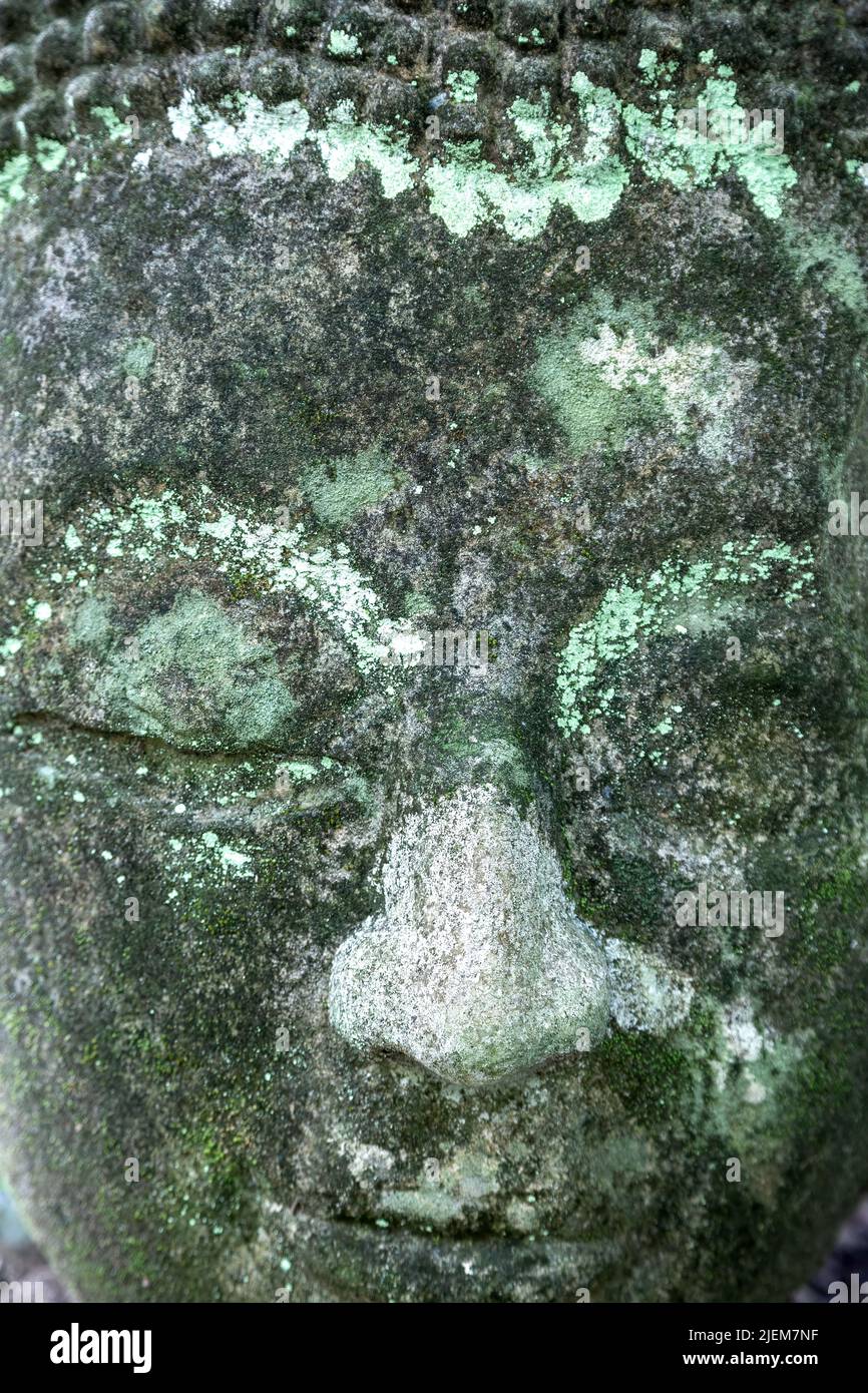 Felsschnitzerei des Kopfes von Buddha, Wat Umong, Hang Dong, Chiang Mai, Thailand Stockfoto