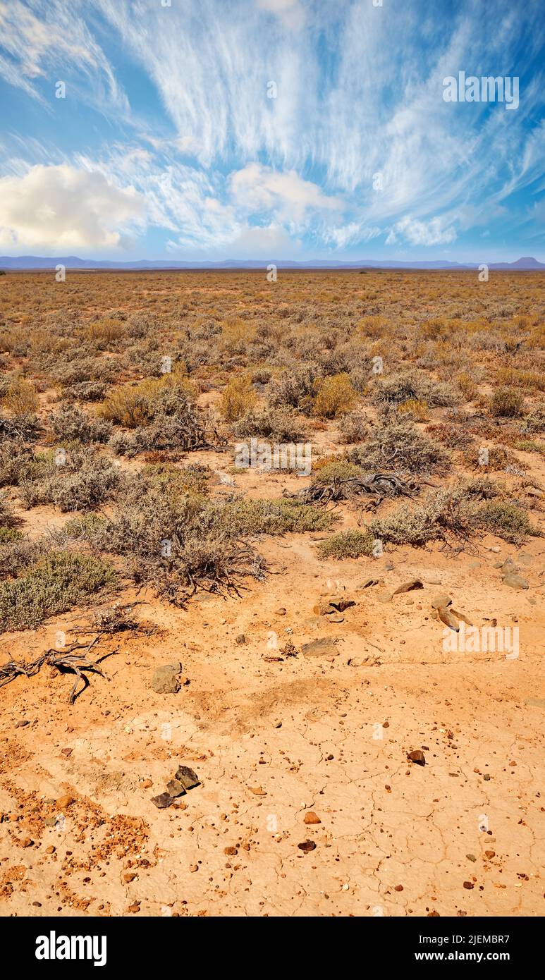 Landschaft von trockenen und kargen Hochland in Savanna Wüste im ländlichen Südafrika mit Copyspace. Trockenes, leeres, abgelegenes Land gegen blauen Himmel. Globale Erwärmung Stockfoto