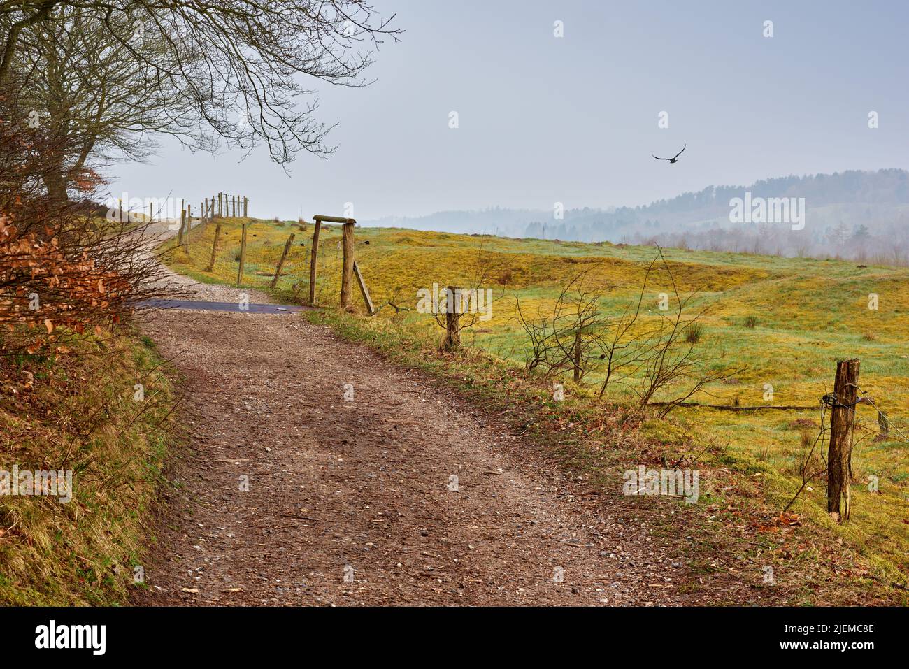 Landschaft von einer kurvenreichen Feldstraße und Weg in einem abgelegenen Land und Land in Deutschland. Ruhige und friedliche Landstraße, die in die Hügel von führt Stockfoto