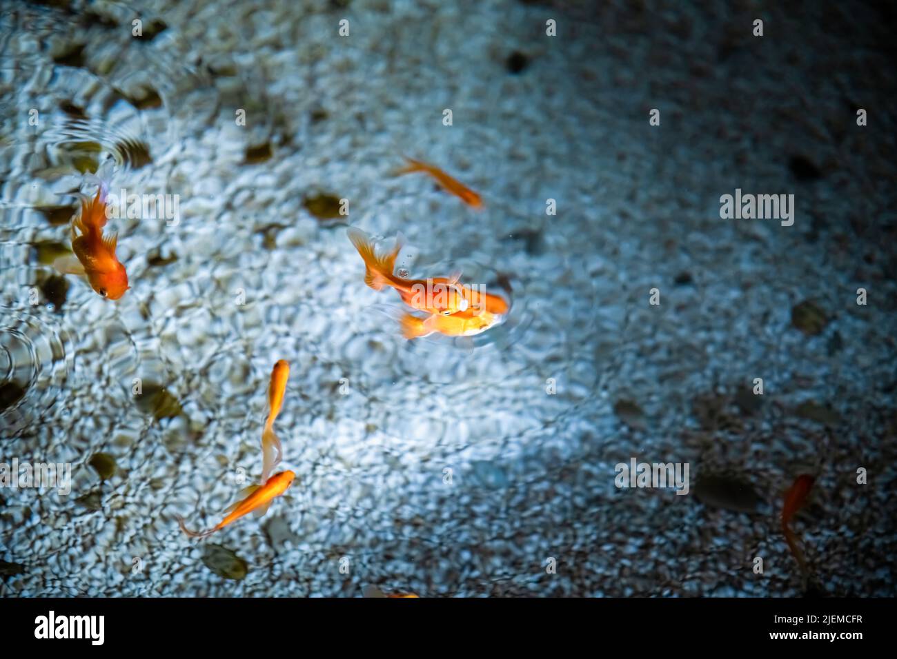Schwimmen hintergrund Fotos und Bildmaterial in hoher Auflösung Alamy