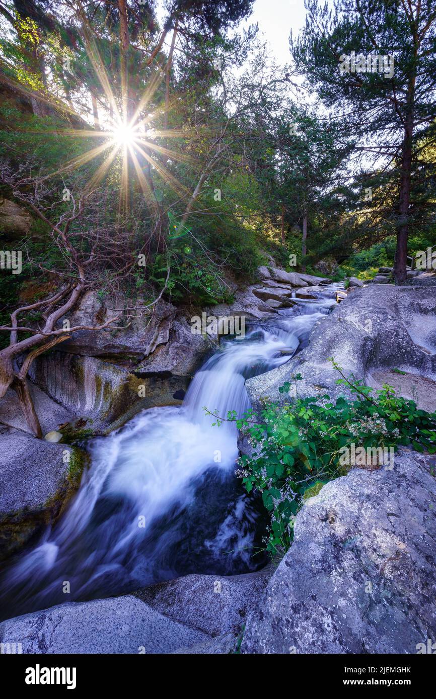 Kleiner Bach zwischen Felsen mit Sonnenlicht, das zwischen den Bäumen ausstrahlt. Stockfoto