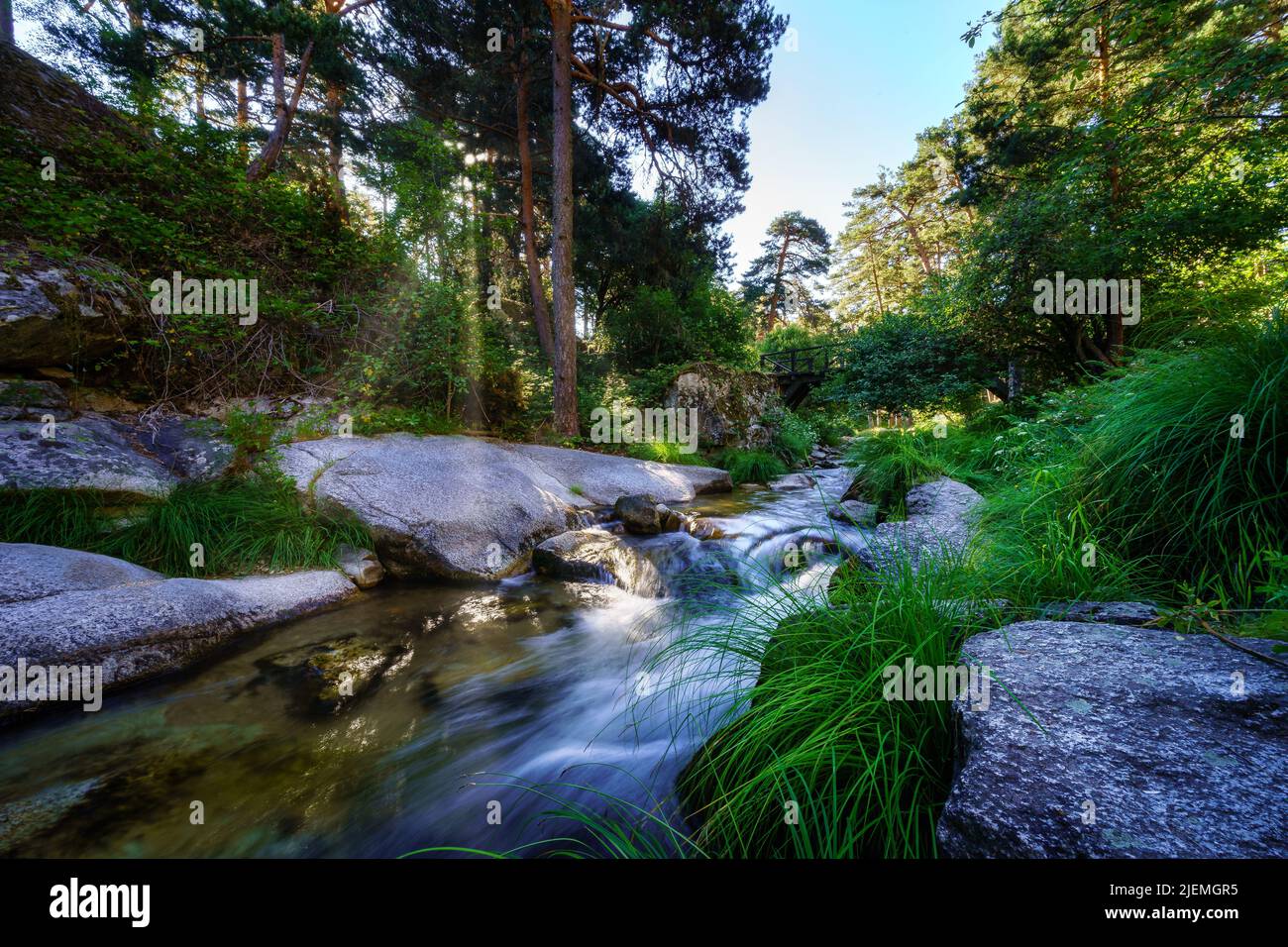 Sonnenlicht, das durch die Bäume kommt und das Flusswasser erhellt. Navacerrada. Stockfoto