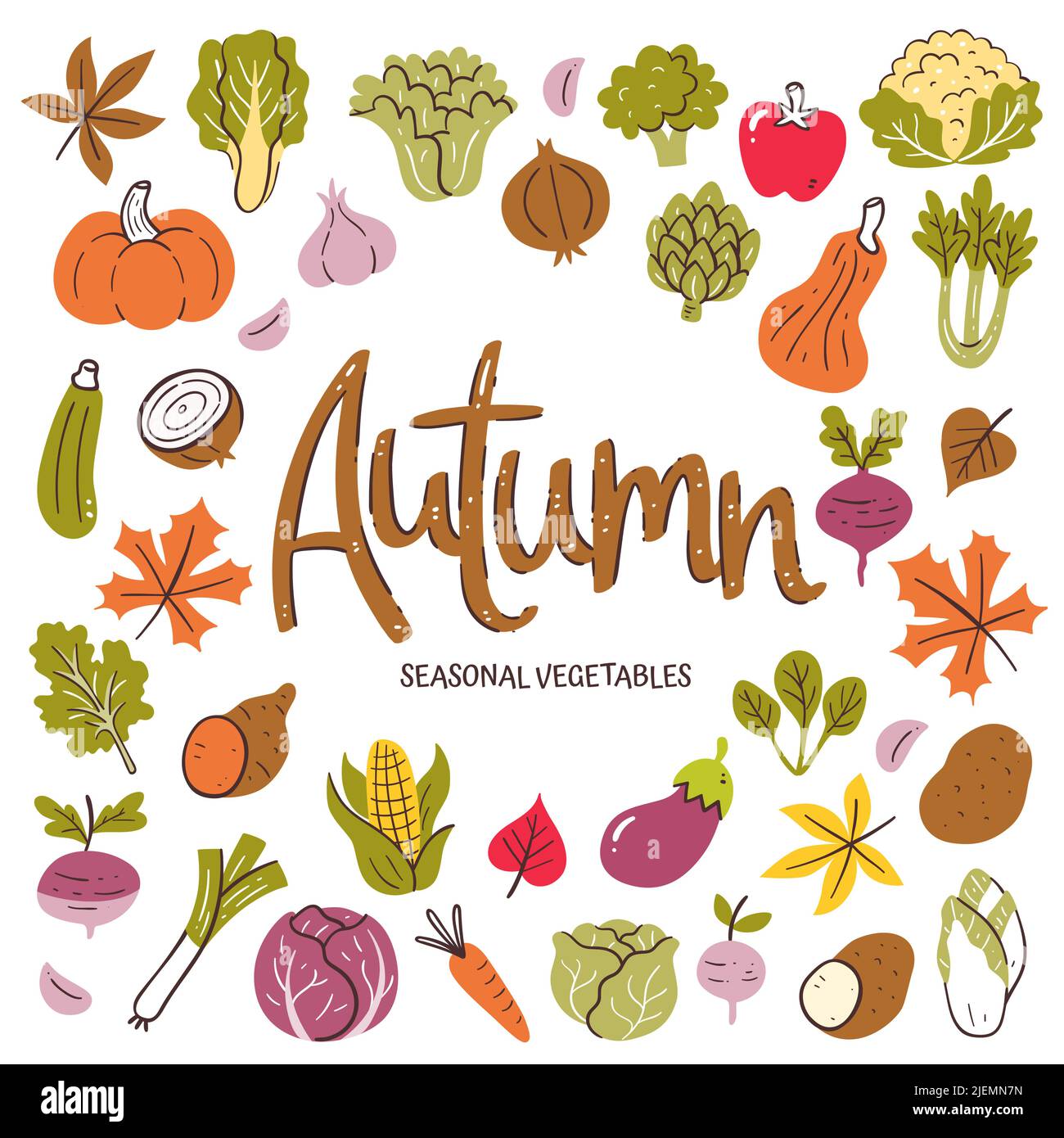 Saisonales Gemüse im Hintergrund. Herbstgemüse Komposition aus bunten handgezeichneten Vektor-Icons, isoliert auf weißem Hintergrund. Stock Vektor