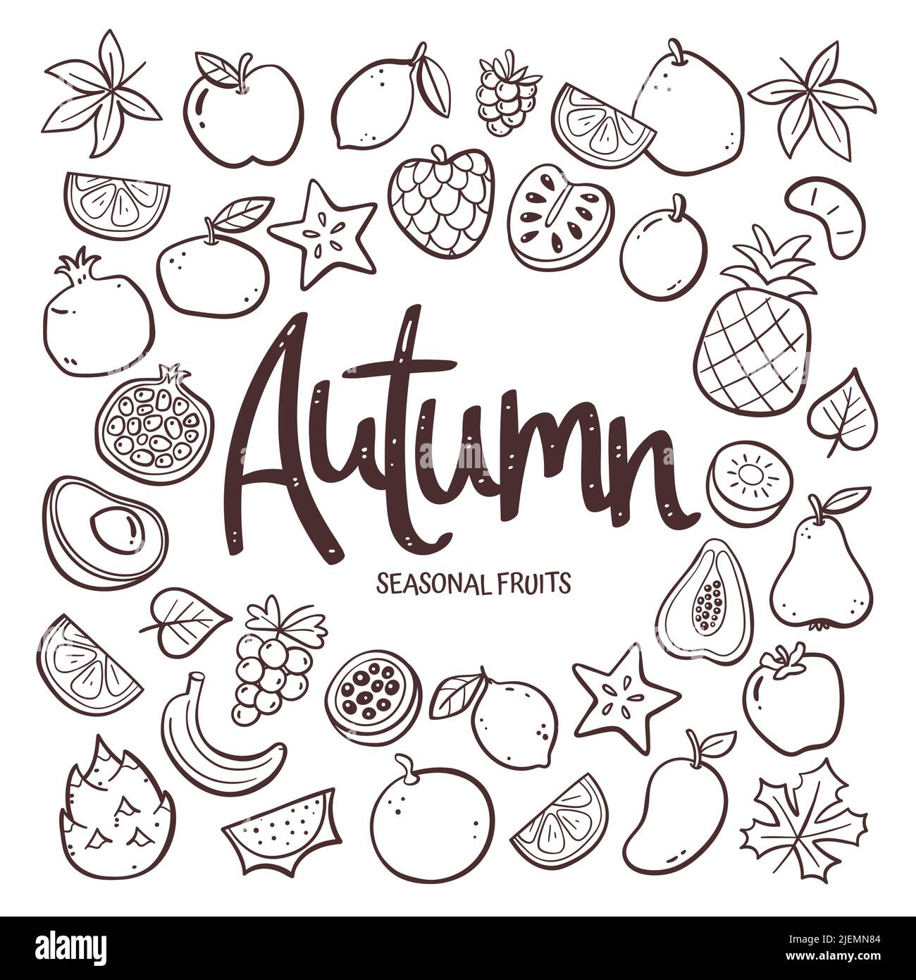 Saisonale Früchte Hintergrund. Handgezeichnete Herbstfrucht-Komposition aus Doodle-Vektor-Icons, isoliert auf weißem Hintergrund. Stock Vektor
