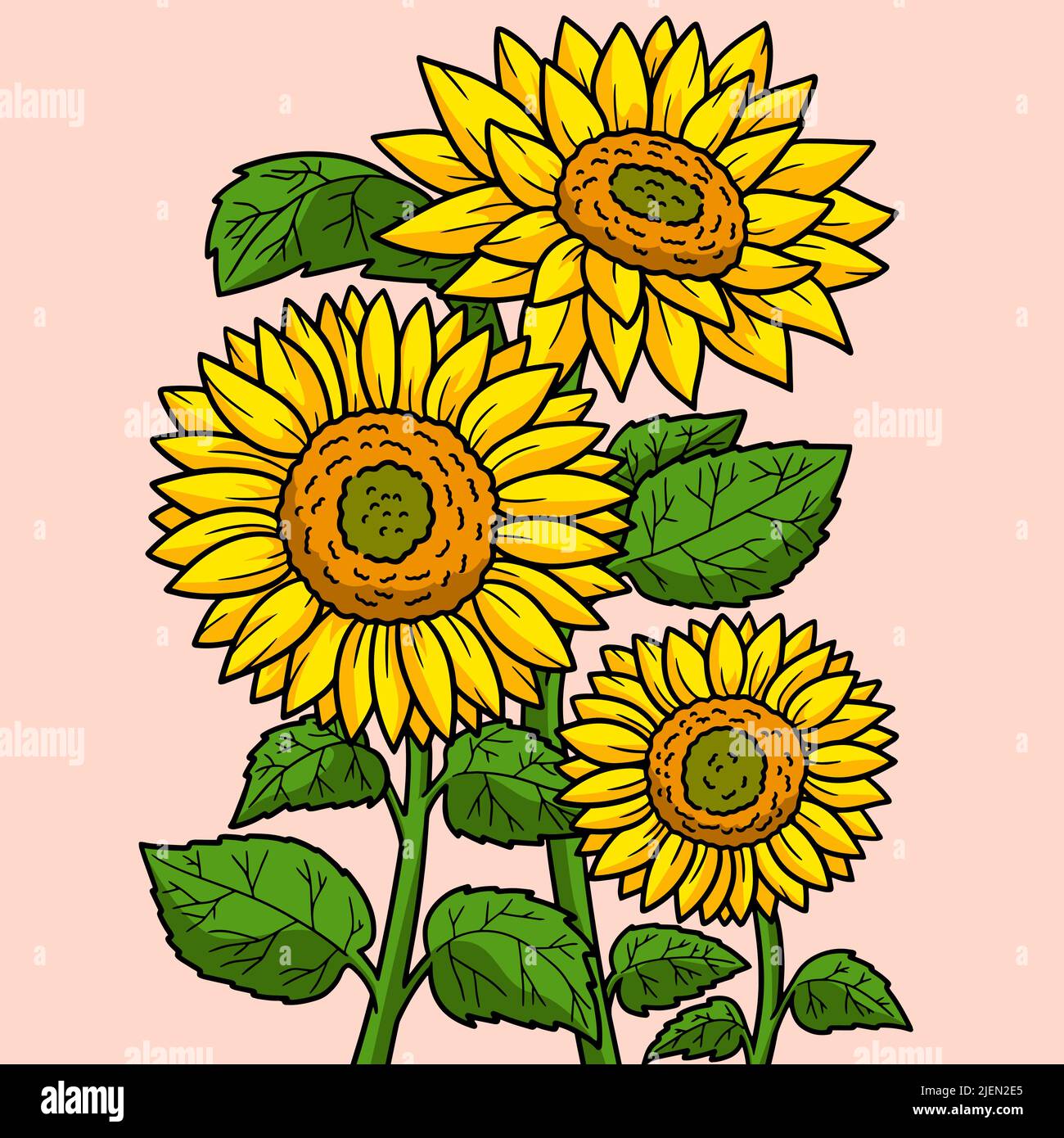 Sonnenblume Cartoon-Ornamente Stock-Clipart, Lizenzfreie