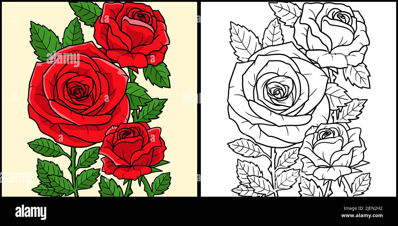 Rose Flower Coloring Seite Farbige Illustration Stock Vektor