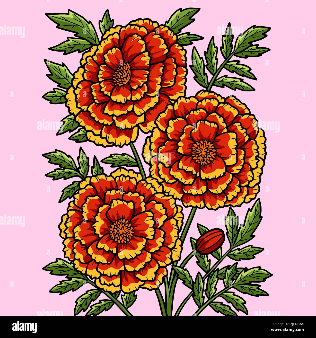 Ringelblume Farbige Cartoon Illustration Stock Vektor