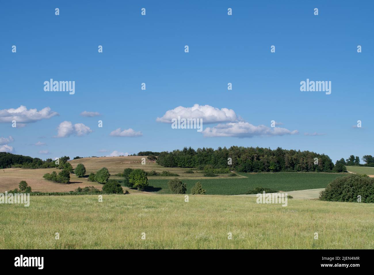 Landschaft in Bayern mit grünen Feldern und Wiesen vor blauem Himmel. Ein paar Schafe weiden auf einem sanften Hügel weit weg Stockfoto