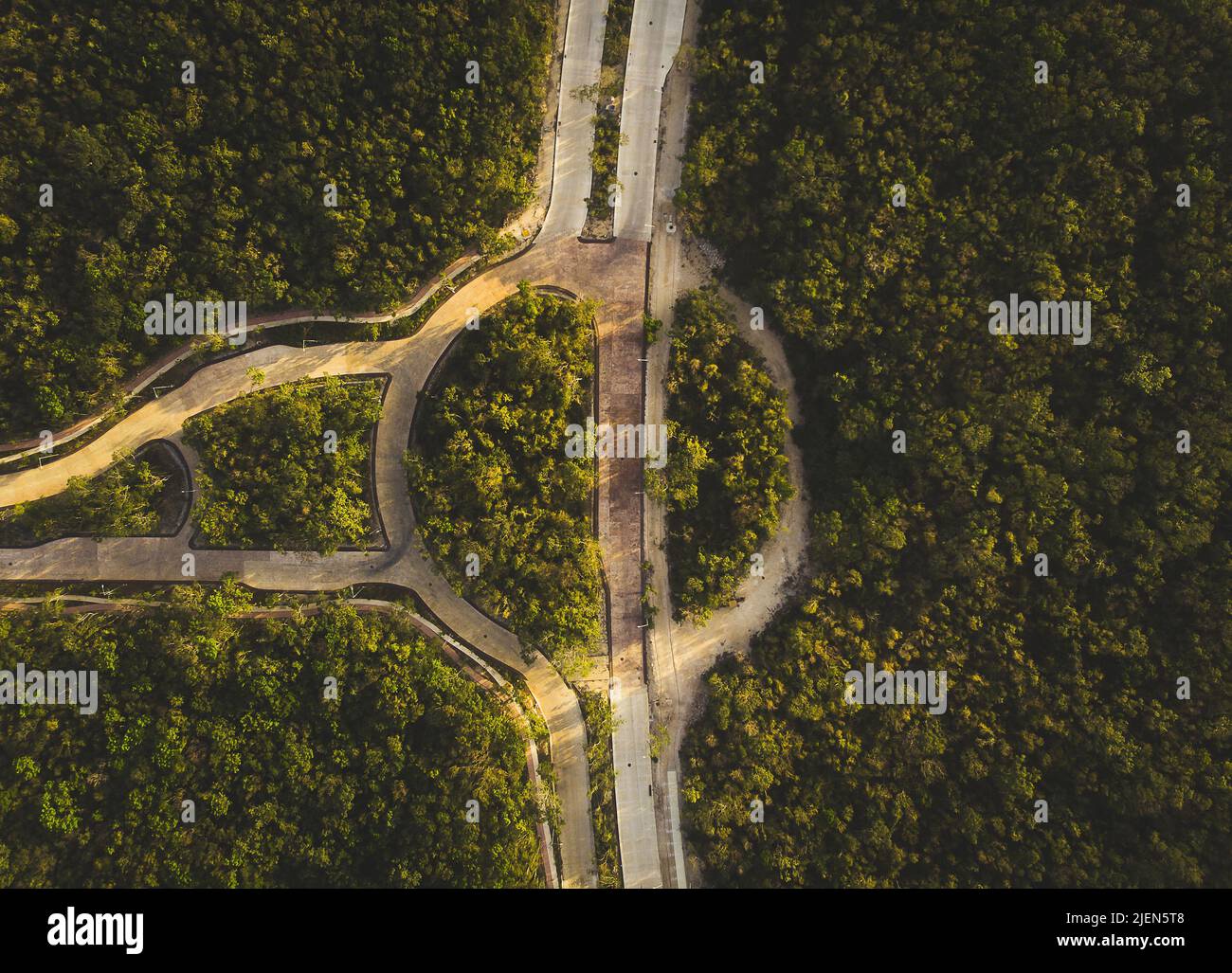 Luftdrohne von oben nach unten Blick auf die Straße durch das grüne tropische Walddach von Playa del carmen während der goldenen Stunde mit sanftem Licht Stockfoto