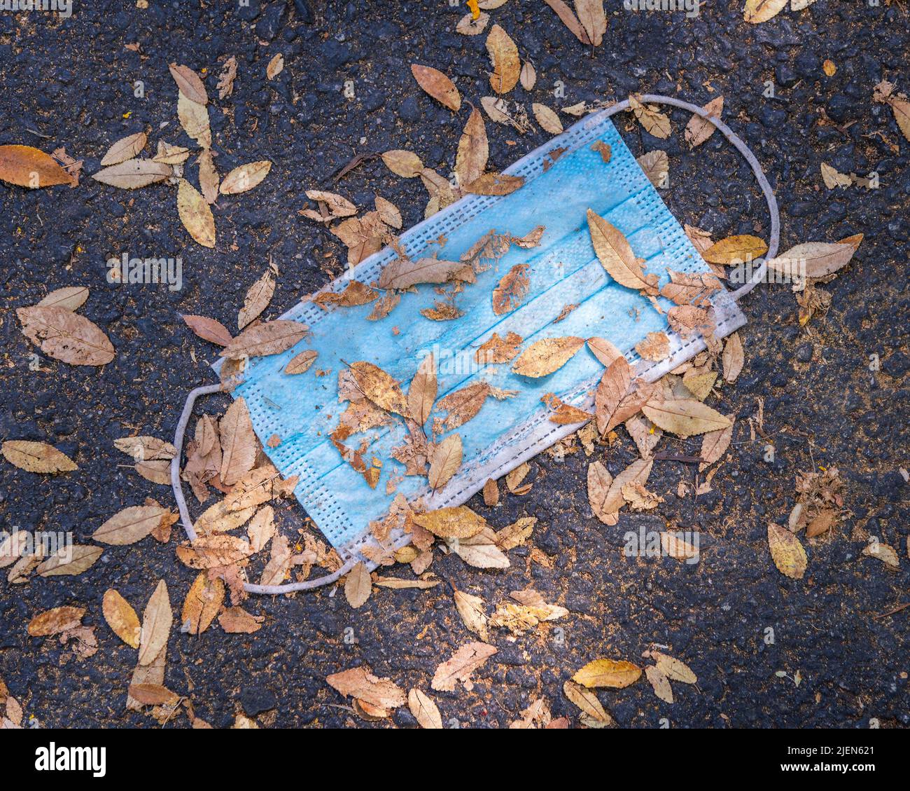 Nahaufnahme einer weggeworfenen Schutzmaske auf dem Boden mit abgestorbenen Blättern. Stockfoto