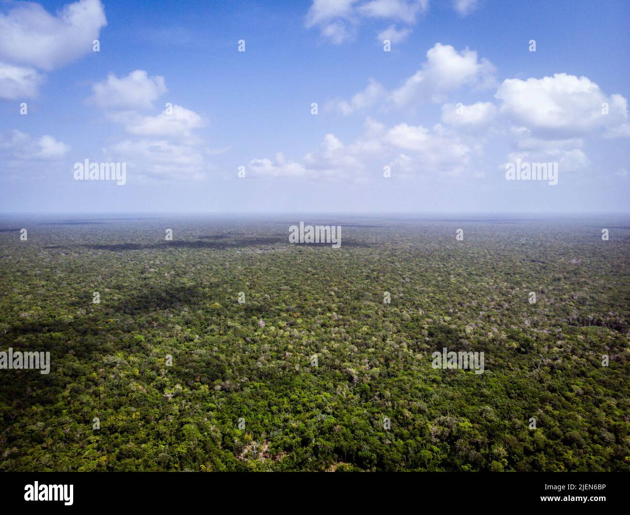 Luftaufnahme des tropischen grünen Waldes mit teilweise bewölktem Tag und Schatten der Wolken im Sian Kaan Nationalpark in der Nähe von Tulum Stockfoto
