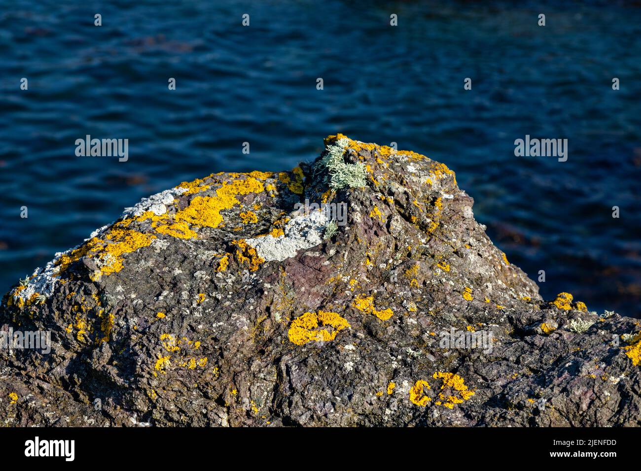 Meereslandschaften in North Berwick, Schottland. Stockfoto