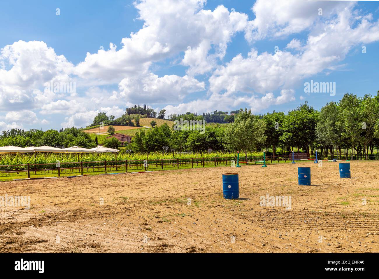 Eine Pferdearena und Trainingskorral neben einem Weinberg mit Reihen von Trauben in den Hügeln der Toskana, Italien. Stockfoto