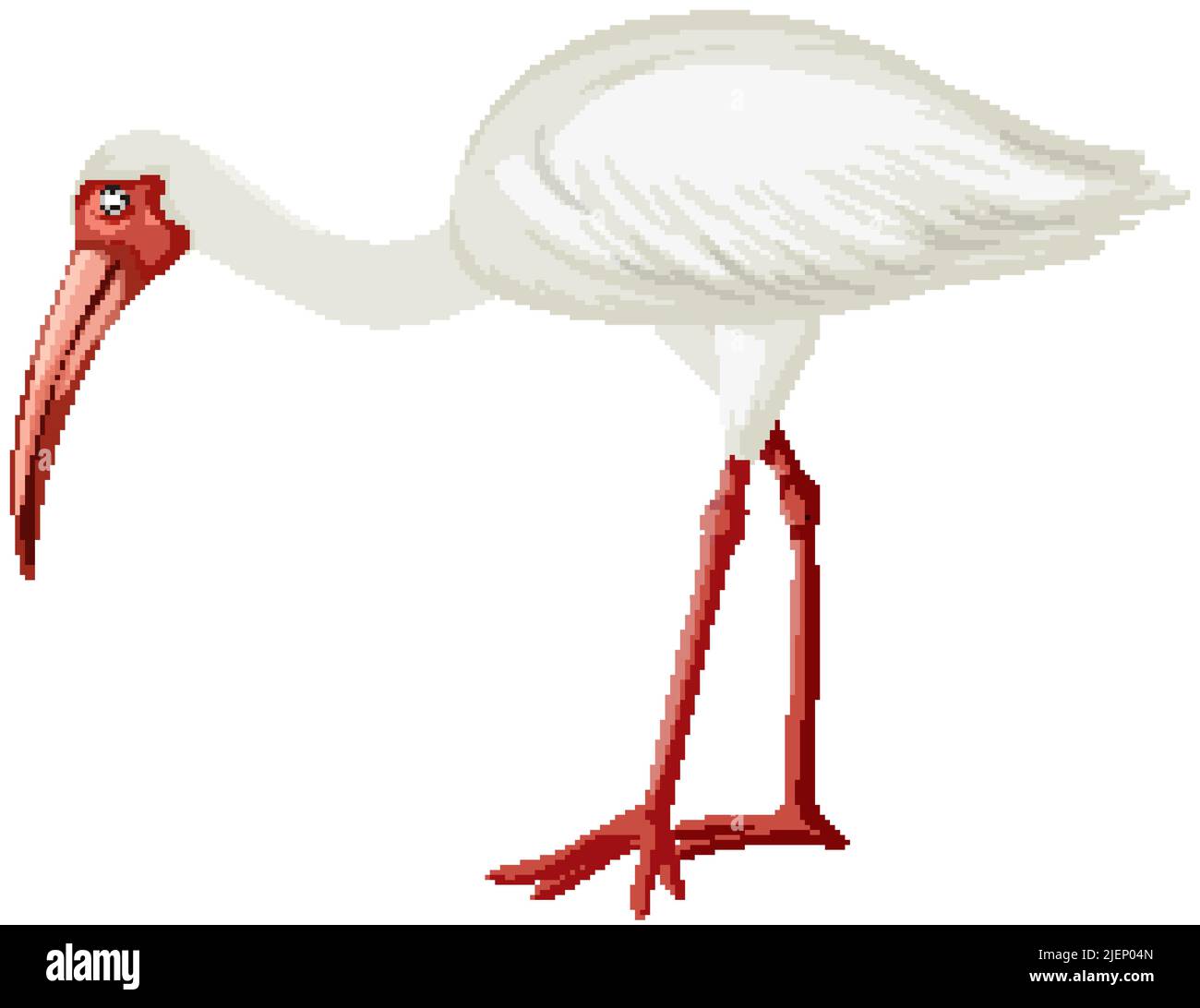 American White Ibis isolierte Illustration Stock Vektor