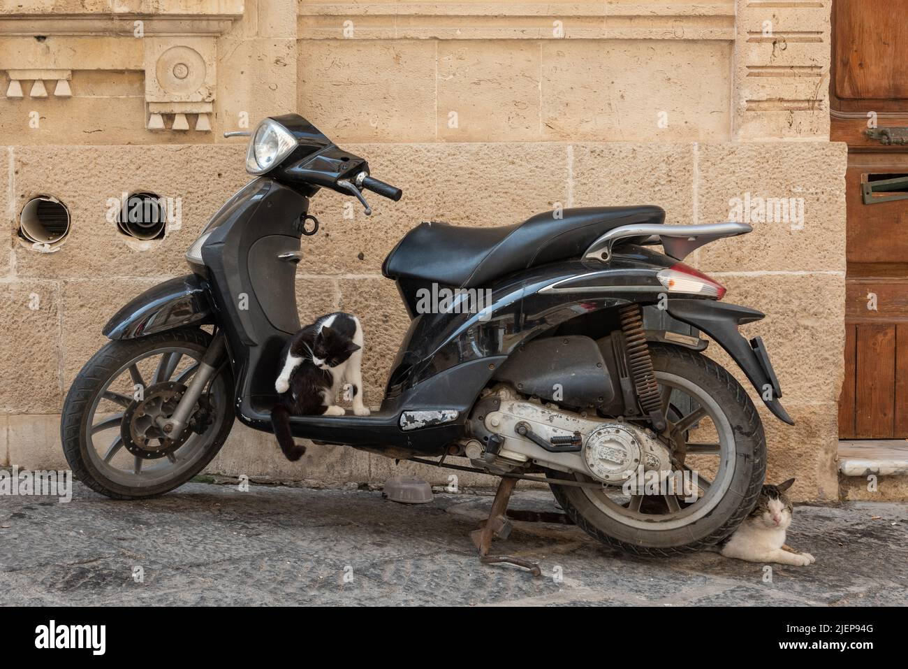 Zwei Katzen machen ein altes Motorrad in Siracusa, Sizilien, Italien, zu Hause Stockfoto