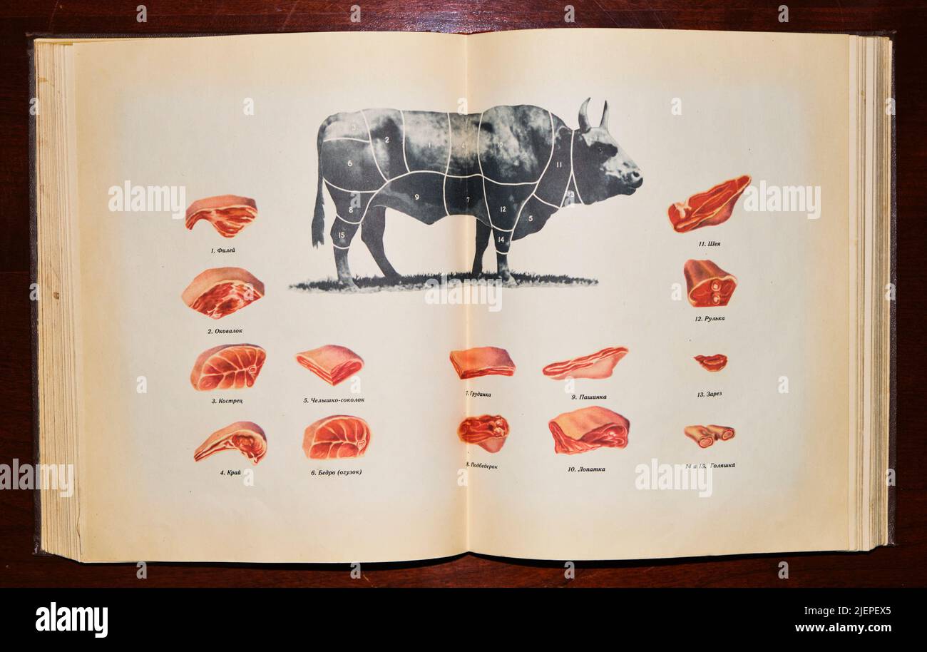 Ein Fleischerführer zu den verschiedenen Fleischstücken, Rindfleisch von einer Kuh. Aus der klassischen Ausgabe 1955 des sowjetischen, russischen Kochbuches, das Buch über Deliciou Stockfoto
