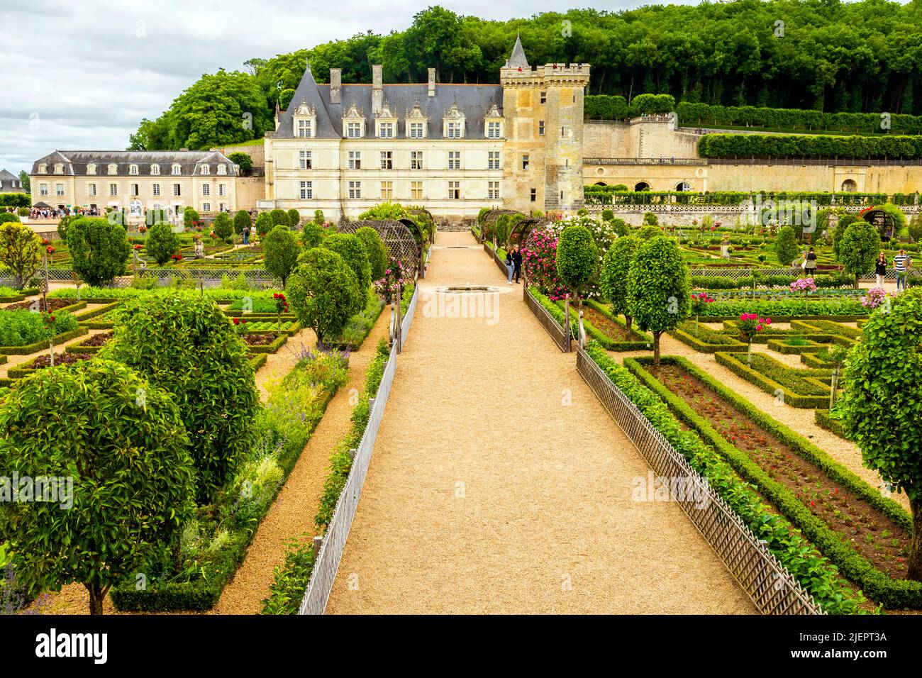 Das Château de Villandry ist eine wunderschöne Landresidenz in Villandry, im Département Indre-et-Loire in Frankreich. Der berühmte Renaissance-gar Stockfoto