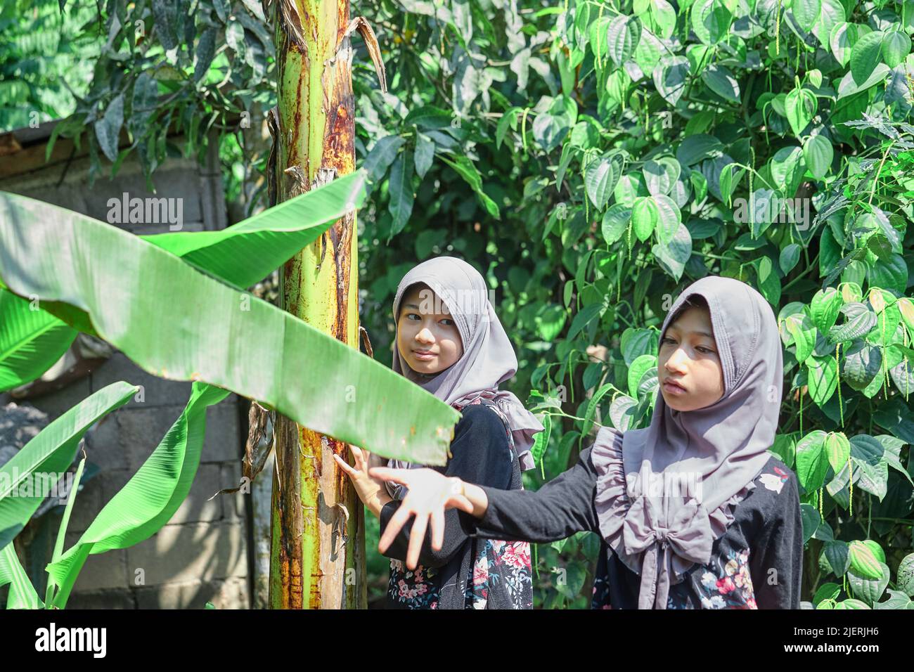 Nette asiatische muslimische Mädchen tragen Hijab im Garten Stockfoto