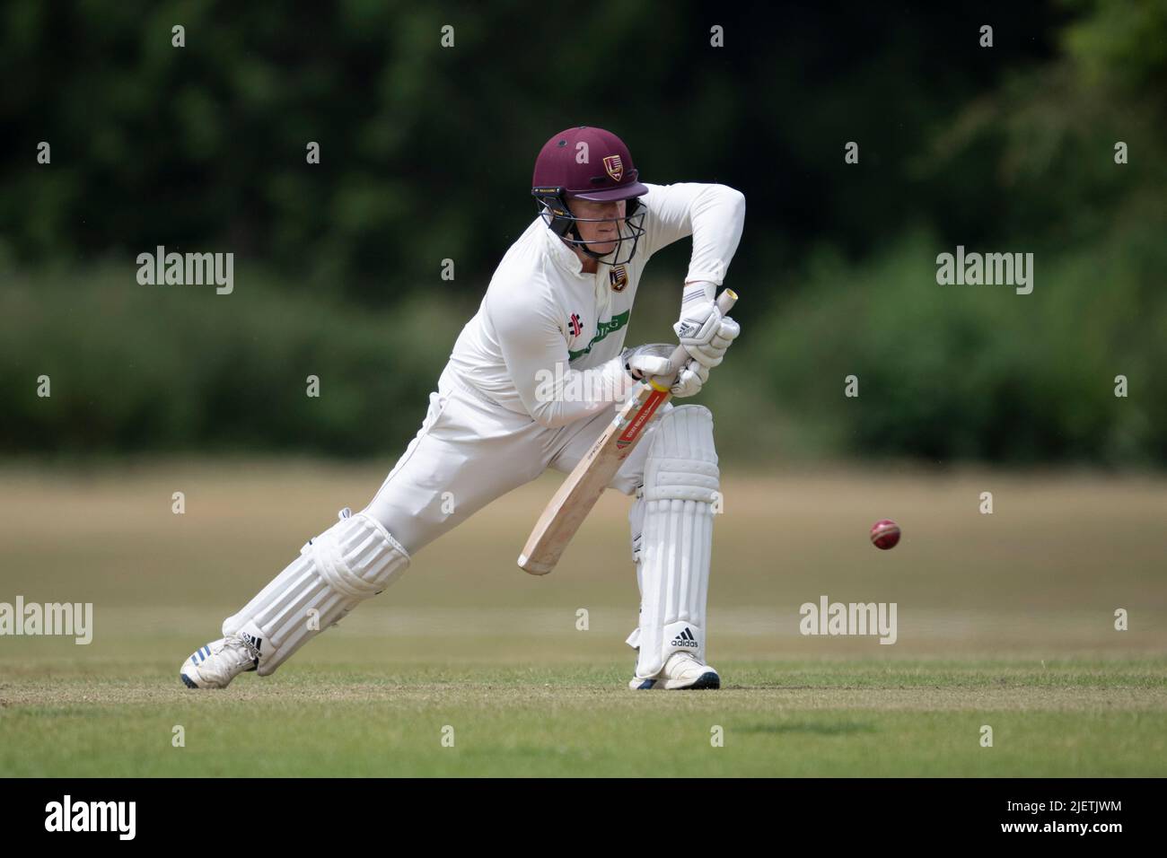 Cricket-Schlagmann Shot spielen Stockfoto